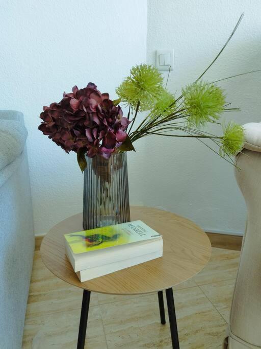 Rent4 Malaga Tamarindo Apartament